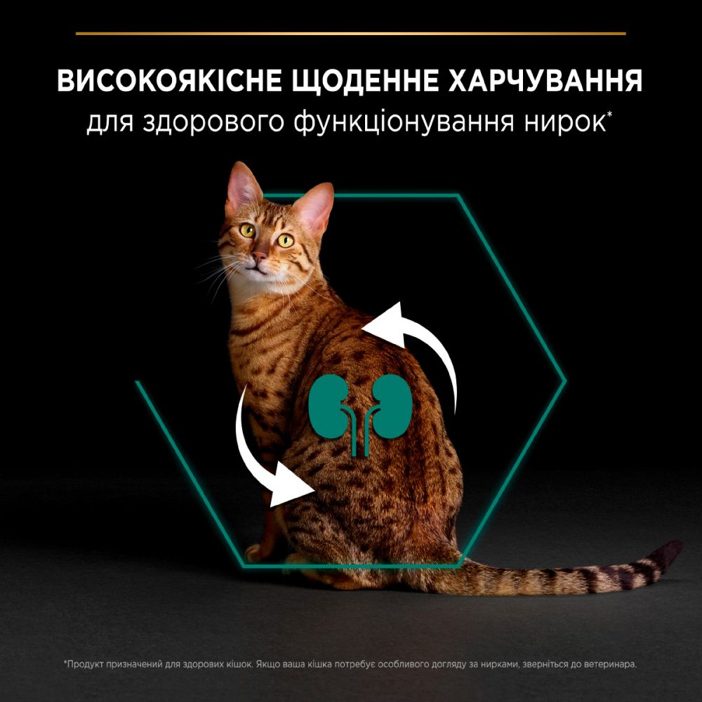 З куркою для дорослих котів ・ 10кг ・ Сухий корм Pro Plan Renal Plus ・ EAN 7613036508032 - Зображення 5