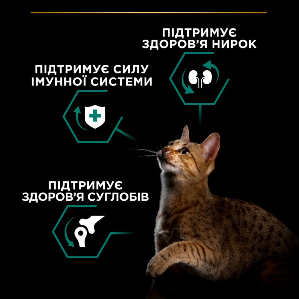 З куркою для дорослих котів ・ 14кг ・ Сухий корм Pro Plan Renal Plus ・ EAN 7613287887733 - Зображення 6