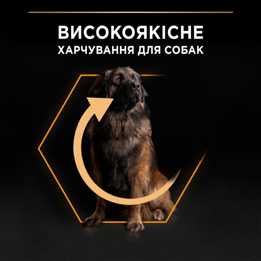 З куркою для дорослих собак великих порід ・ 16кг ・ Сухий корм Pro Plan Large Robust ・ EAN 7613035120624 - Зображення 4