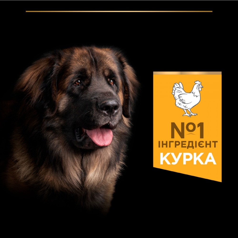 З куркою для дорослих собак великих порід ・ 16кг ・ Сухий корм Pro Plan Large Robust ・ EAN 7613035120624 - Зображення 5