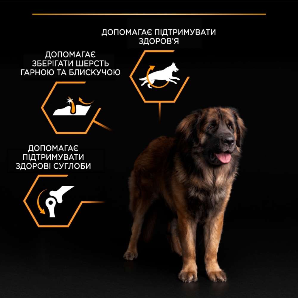 З куркою для дорослих собак великих порід ・ 16кг ・ Сухий корм Pro Plan Large Robust ・ EAN 7613035120624 - Зображення 6