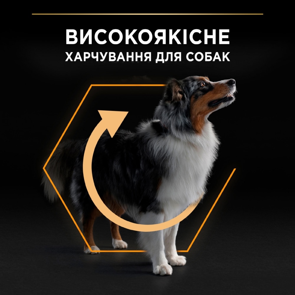 З куркою для собак середніх порід ・ 14кг ・ Сухий корм Pro Plan Medium ・ EAN 7613035120488 - Зображення 6