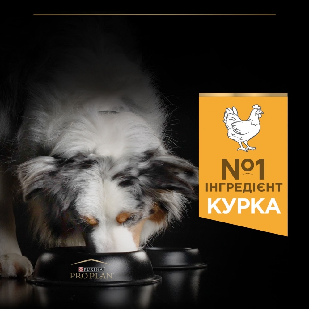 З куркою для собак середніх порід ・ 14кг ・ Сухий корм Pro Plan Medium ・ EAN 7613035120488 - Зображення 7