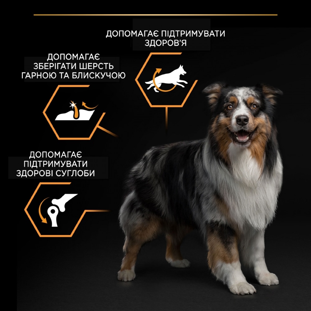 З куркою для собак середніх порід ・ 14кг ・ Сухий корм Pro Plan Medium ・ EAN 7613035120488 - Зображення 8