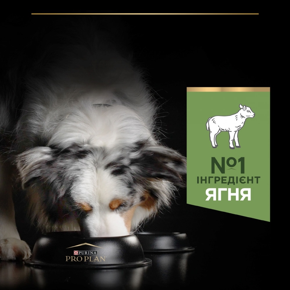 З ягням для собак середніх порід ・ 14кг ・ Сухий корм Pro Plan Medium Sensitive Digestion ・ EAN 7613035214774 - Зображення 7