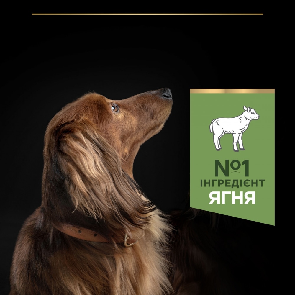 З ягням для собак дрібних порід ・ 7кг ・ Сухий корм Pro Plan Small & Mini Sensitive Digestion ・ EAN 7613036611329 - Зображення 9