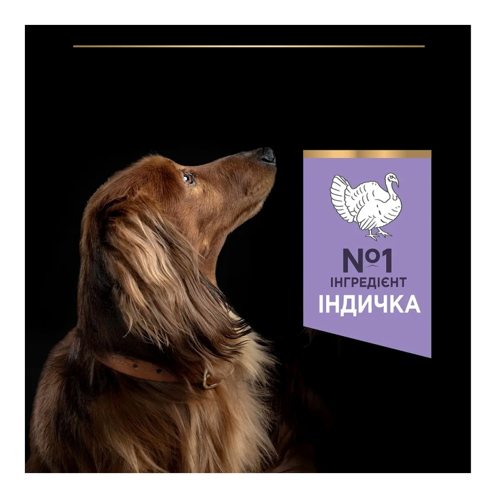 З індичкою беззерновий для собак малих порід ・ 7кг ・ Сухий корм Pro Plan Small & Mini ・ EAN 7613036731256 - Зображення 10