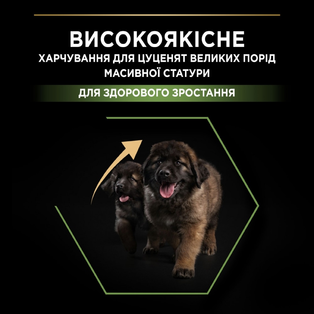 З куркою для цуценят великих порід ・ 12кг ・ Сухий корм Pro Plan Large Robust Healthy Start ・ EAN 7613035120341 - Зображення 3
