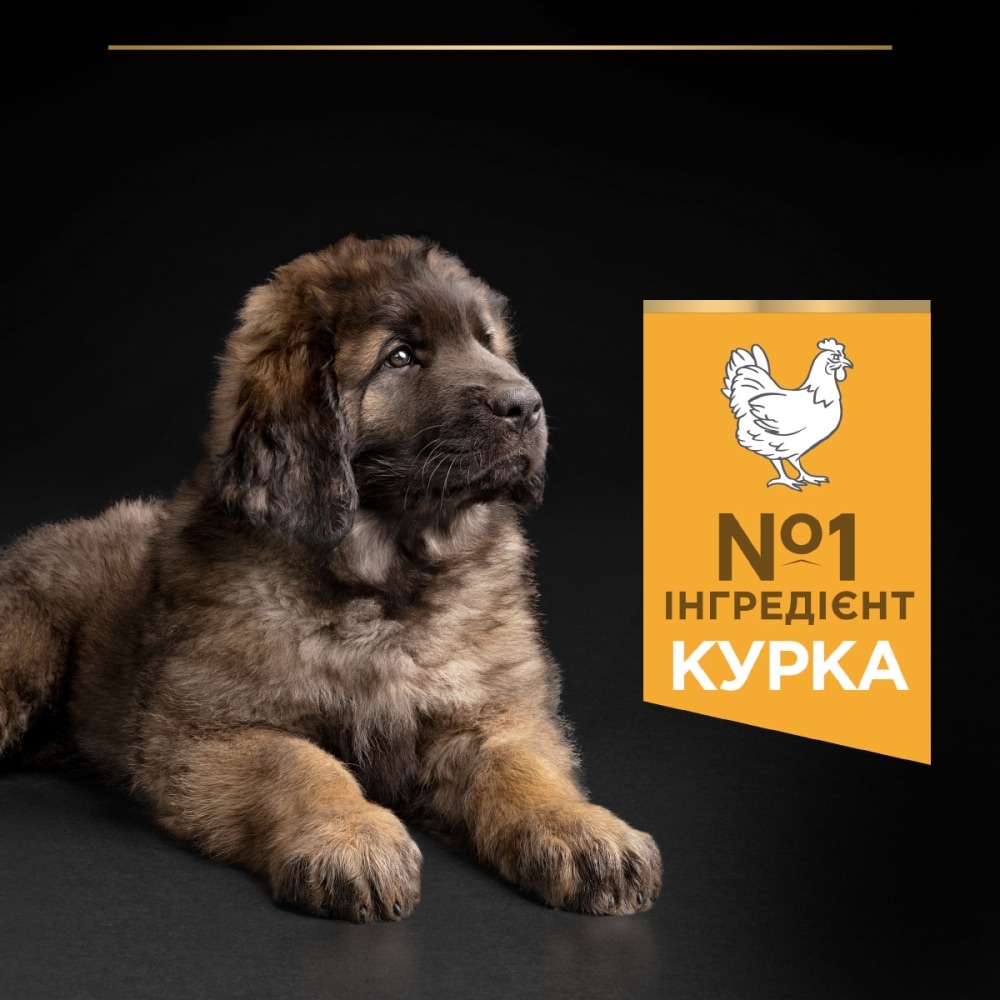 З куркою для цуценят великих порід ・ 12кг ・ Сухий корм Pro Plan Large Robust Healthy Start ・ EAN 7613035120341 - Зображення 4