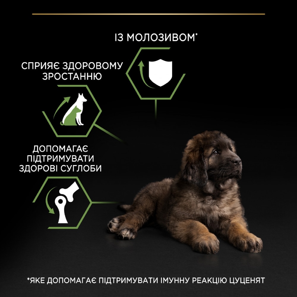 З куркою для цуценят великих порід ・ 12кг ・ Сухий корм Pro Plan Large Robust Healthy Start ・ EAN 7613035120341 - Зображення 5