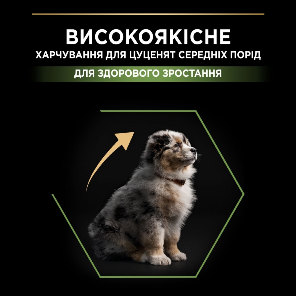 З куркою для цуценят середніх порід ・ 12кг ・ Сухий корм Pro Plan Medium Healthy Start ・ EAN 7613035120402 - Зображення 6