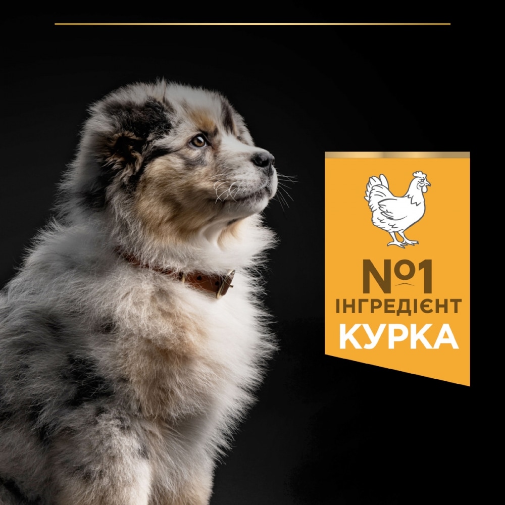 З куркою для цуценят середніх порід ・ 12кг ・ Сухий корм Pro Plan Medium Healthy Start ・ EAN 7613035120402 - Зображення 7
