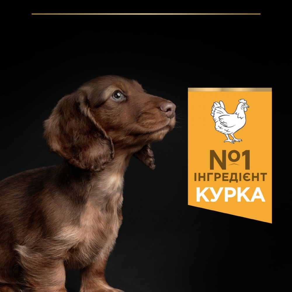 З куркою для цуценят дрібних порід ・ 3кг ・ Сухий корм Pro Plan Small & Mini Healthy Start ・ EAN 7613035114340 - Зображення 8