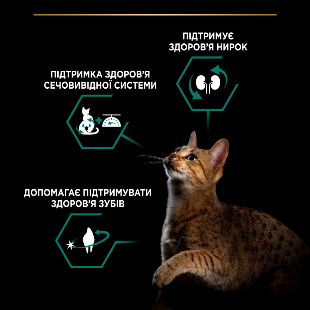 З кроликом для стерилізованих котів ・ 10кг ・ Сухий корм Pro Plan Renal Plus ・ EAN 7613033566486 - Зображення 5