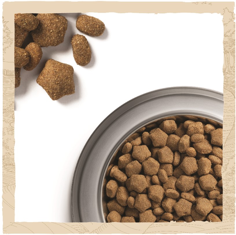З куркою для активних собак ・ 14кг ・ Сухий корм Dog Chow Active ・ EAN 7613034487933 - Зображення 2