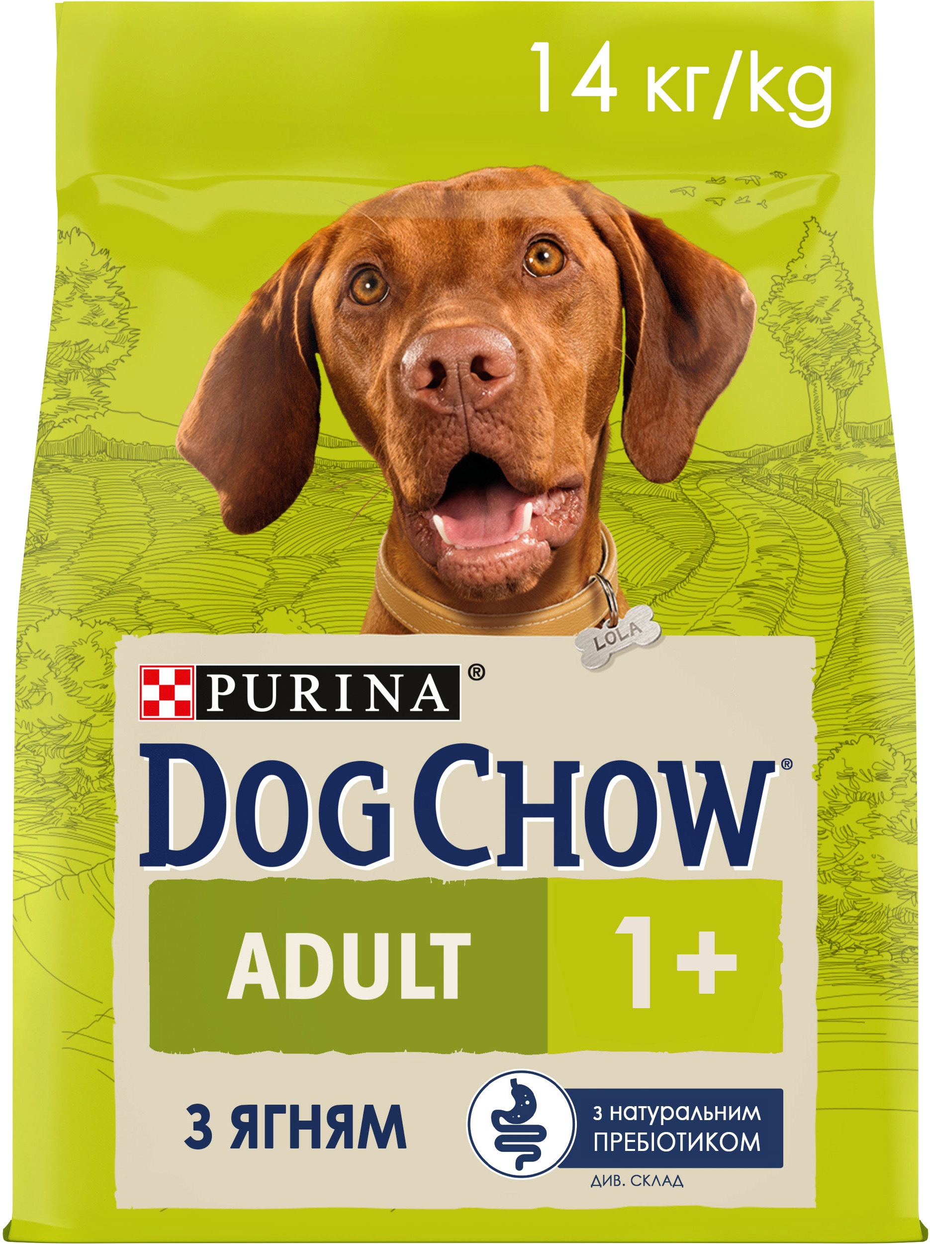 З ягням для дорослих собак ・ 14кг ・ Сухий корм Dog Chow Adult ・ EAN 7613034487636