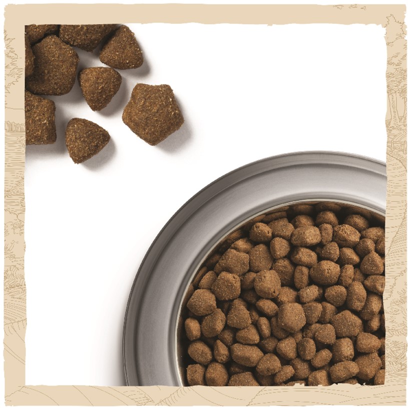 З ягням для дорослих собак ・ 14кг ・ Сухий корм Dog Chow Adult ・ EAN 7613034487636 - Зображення 2