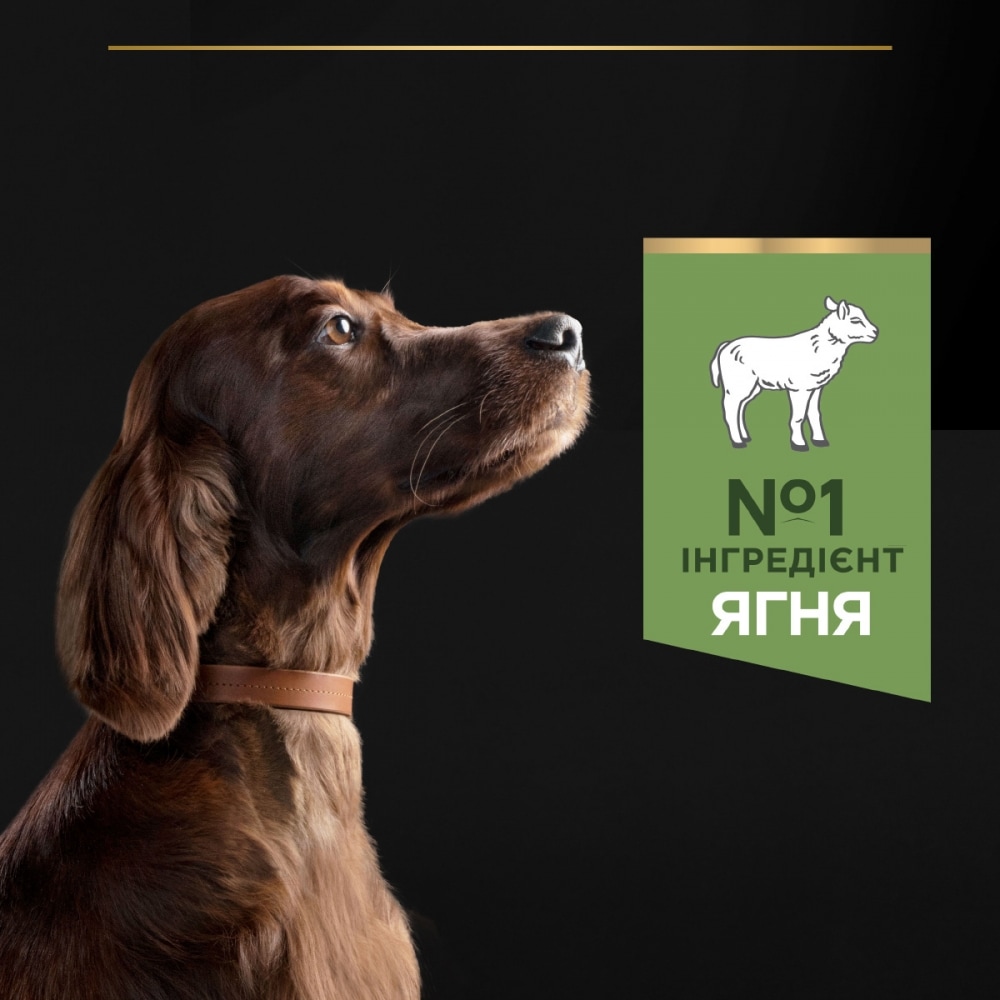 З ягням для собак великих порід ・ 14кг ・ Сухий корм Pro Plan Large Robust Athletic Sensitive Digestion ・ EAN 7613035415591 - Зображення 4