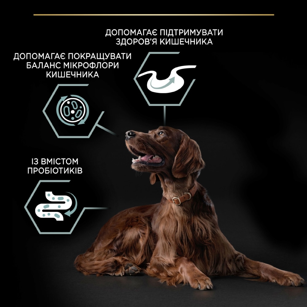 З ягням для собак великих порід ・ 14кг ・ Сухий корм Pro Plan Large Robust Athletic Sensitive Digestion ・ EAN 7613035415591 - Зображення 5